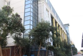 фабрично шоу